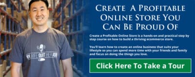 Create a Profitable Online Store Review